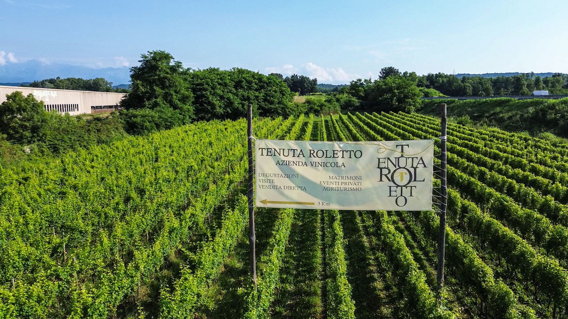 Vigneti della Tenuta Roletto in Località San Carlo