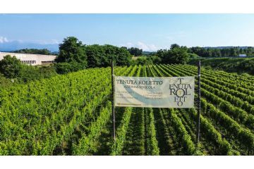 Vigneti della Tenuta Roletto in Località San Carlo